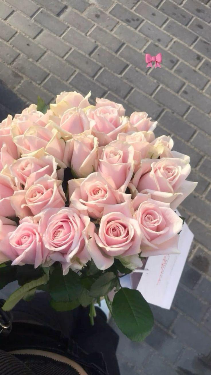 Whispers of Dawn: Serene Pastel Melange