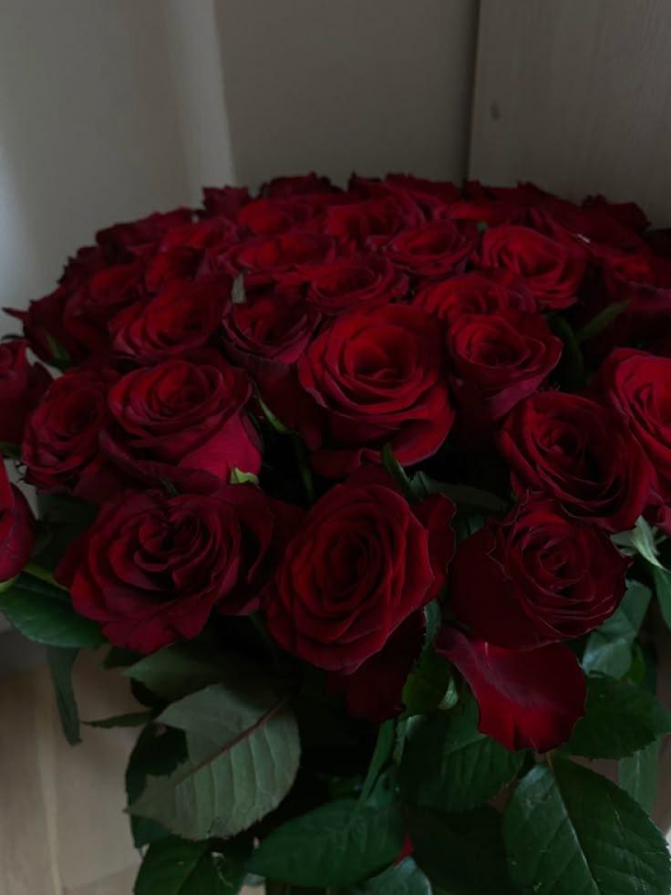Enchanted Garden Embrace: Vibrant Bloom Symphony